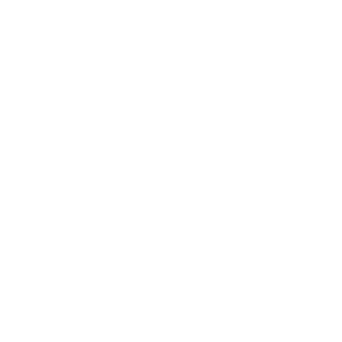 Strategy Coin